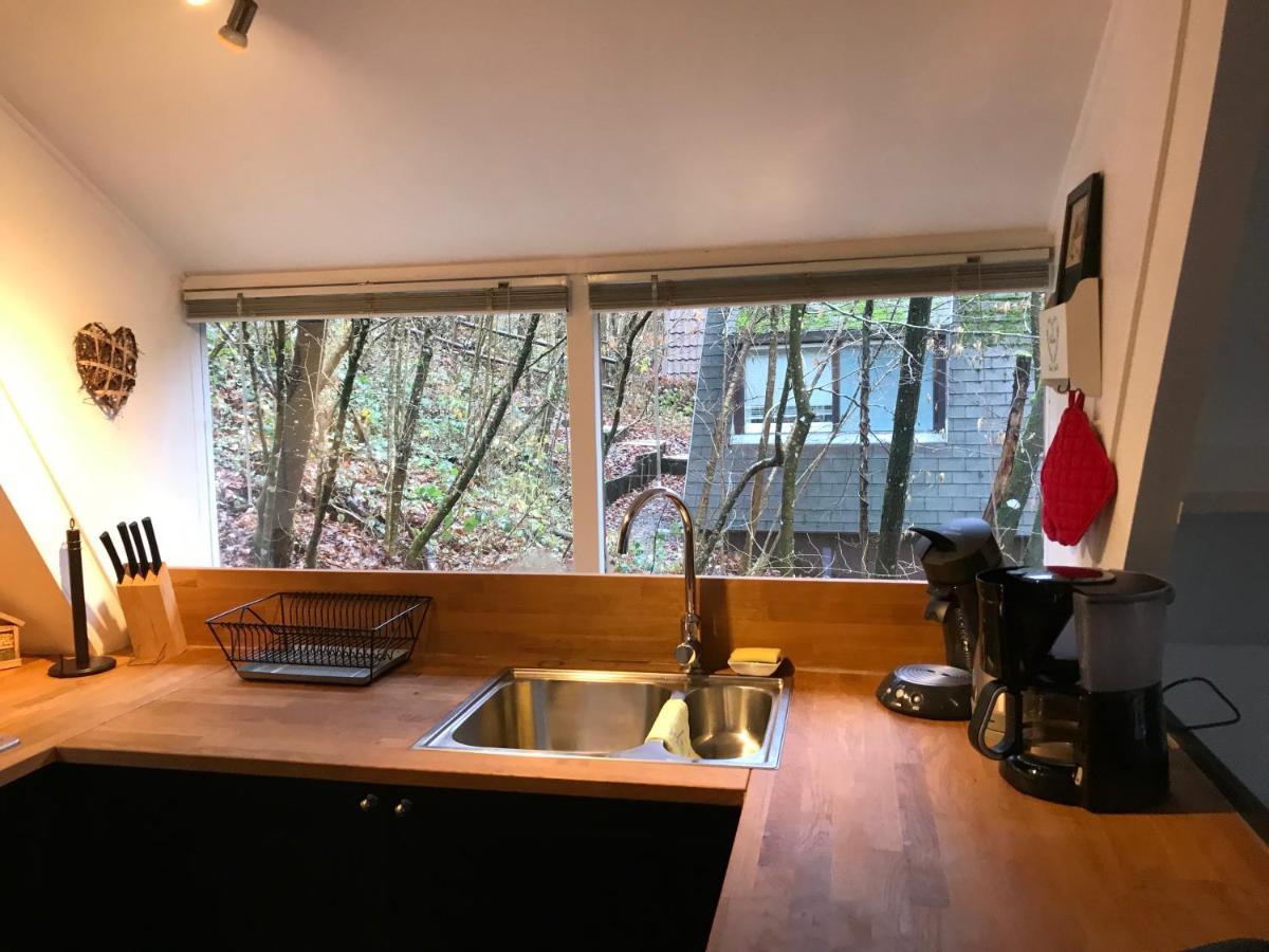 Heavenly Renovated Cabin Near Pittoresque Durbuy - Whistler Exterior photo